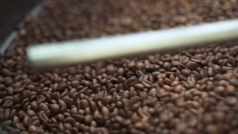 Equipment with coffee beans inside working and rotating in workshop of company Stock Footage 163817399