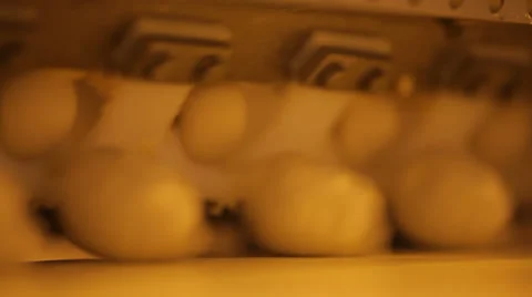 Equipment makes molds for biscuits Stock Footage 39420461