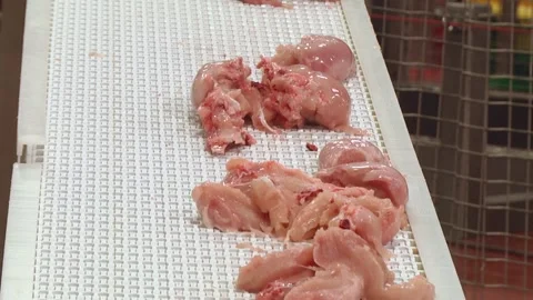 Equipment for poultry processing. Stock Footage 122626646