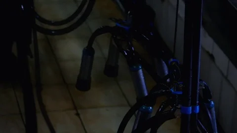 Equipment for Pumping Milk from Cows Video stock 76332808