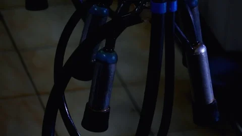 Equipment for Pumping Milk 스톡 동영상 76332838