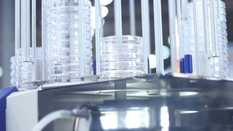 Equipment for samples in the laboratory Stock Footage 87134883