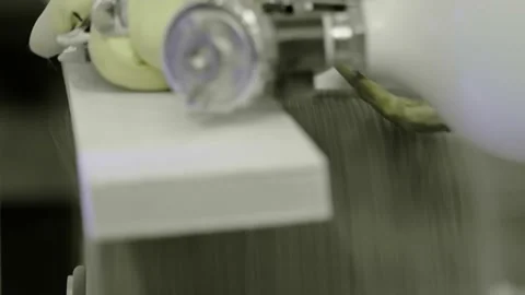 Equipment for wood processing, manipulator for polishing the wooden parts Stock Footage 141748133