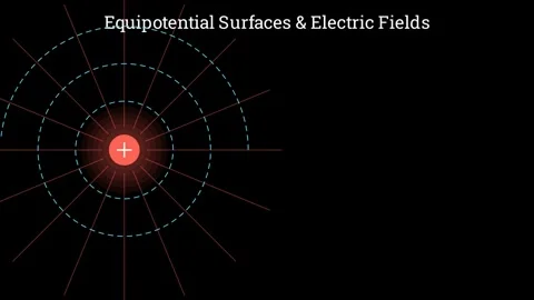 Equipotential Surfaces and Electric Fields Видео 337061551