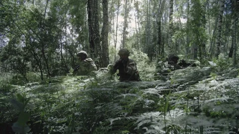 Equipped soldiers in combat readiness Stock Footage 327351179