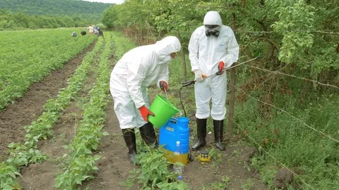Equipped workers preparing herbicide for plants in the field Stock-Footage 71544871