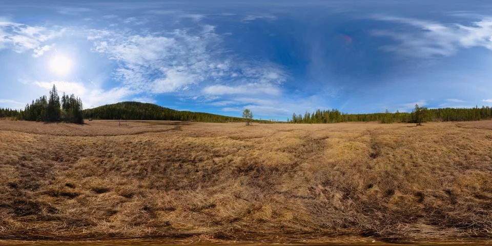 Equirectangular 360 degree panorama of northern Swedish Bergmyran (mountain.. Foto stock
