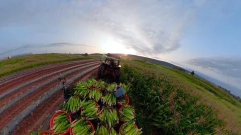 Equirectangular edited 360 vr tiny planet clip of tractor pulling a Video stock 94300449