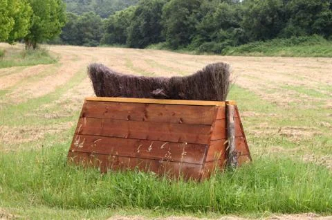 Equitation obstacle Stock Photos