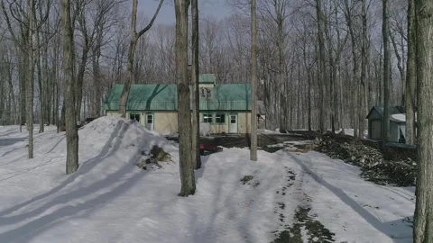 Erabliere Stock Footage 135474022