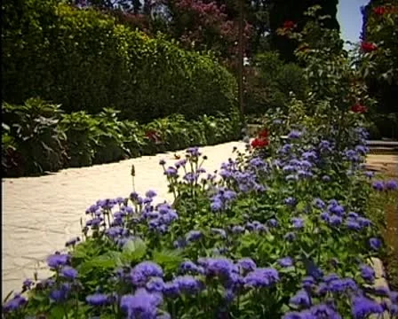 Eram garden Stock Footage 8962624