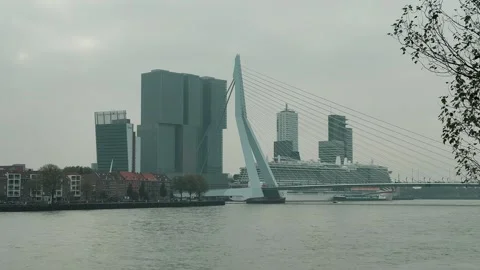 Erasmus Bridge 1 Stock Footage 319964389