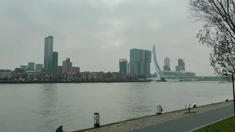 Erasmus Bridge 3 Stock Footage 319964468