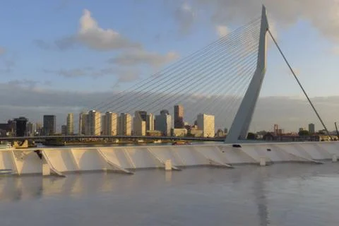Erasmus bridge Photos
