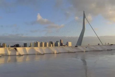 Erasmus bridge Stock Photos