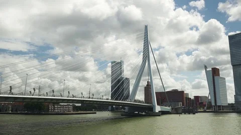 Erasmus bridge in Rotterdam Stock Footage 70014848