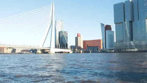 Erasmus bridge, Rotterdam Stock Footage 101566257