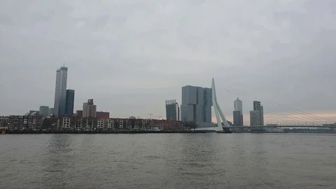 Erasmus bridge in Rotterdam Video stock 123842721