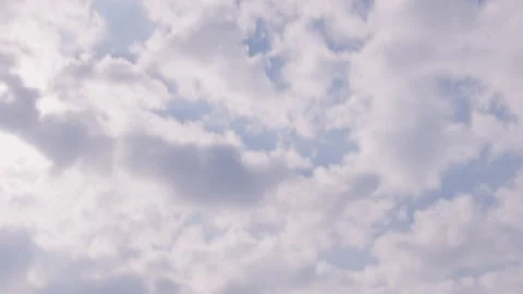 Erasmus Bridge Rotterdam Stock Footage 153685146