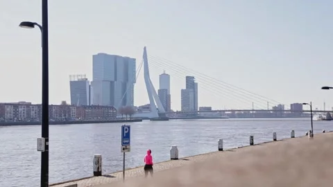 Erasmus Bridge in Rotterdam Video stock 300957292