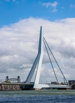 Erasmus Bridge in Rotterdam Stock Photos