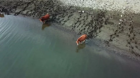 Erathwater1 Stockbeeldmateriaal 205721546