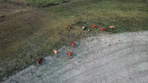 Erathwater3 Stockbeeldmateriaal 205721670