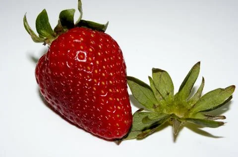 Erdbeere - 10 Stock Photos