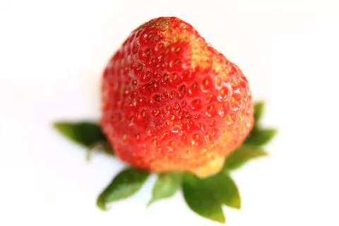 Erdbeeren - Bio Stock Photos