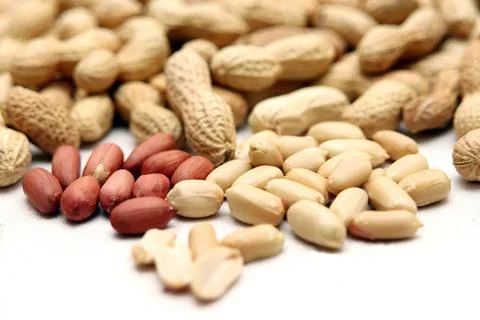  Erdnüsse aus Bioanbau Erdnüsse aus Bioanbau Copyright: xZoonar.com/Rüdige Stock Photos