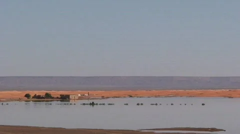 Erg Chebbi Desert Oasis Video stock 286063