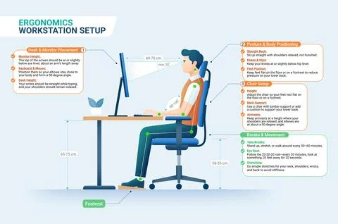 Ergonomics workstation setup vector illustration. Stock Illustration