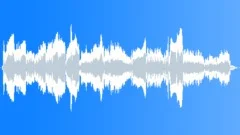 Erhu Cue1 Stock Music