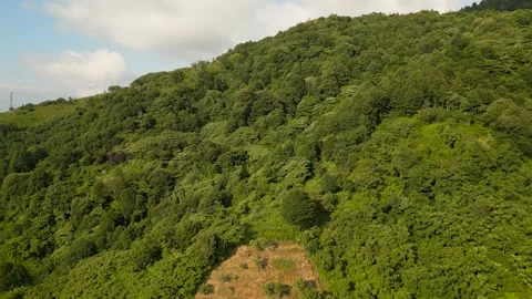 Erial view of a Green Mountain Vidéo 256606809