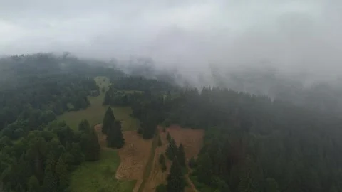 Erial view of green mountains with a path through coniferous forest and thick Stock Footage 316034512