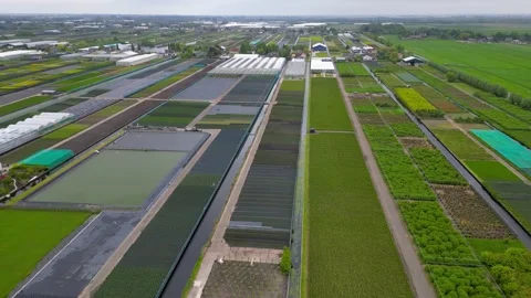 Erial view of pattern of fields, green houses and farms near Bodegraven cit.. Stock Footage 324014242
