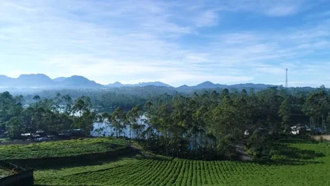 Erial View of Tropical Forests and Cileunca Lake, West Java, Indonesia Stock-Footage 132165265