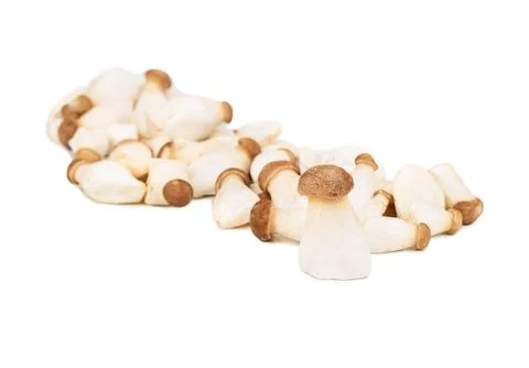 Eringi mushrooms isolate Stockfoto's