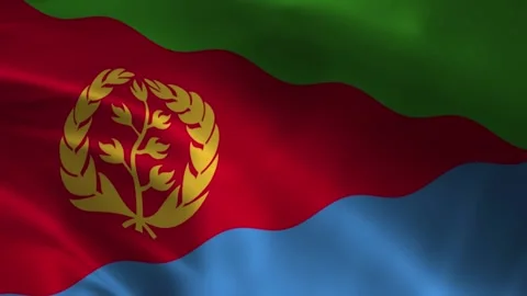 Eritrea flag waving fabric close up with emblem 库存影片 335560424