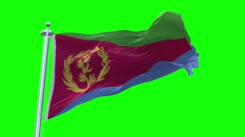 Eritrea Flag Waving in Loopable and Textured green screen background Stock Footage 296876647