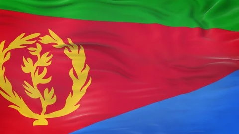 Eritrea flag waving in the wind with highly detailed fabric texture 動画素材 124713176