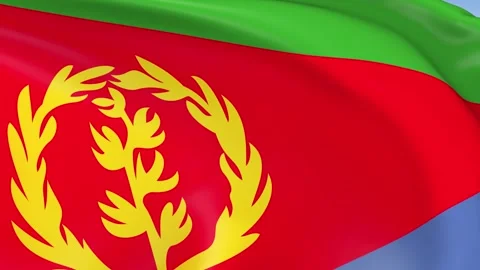 Eritrea Waving Flag Background Loop Stock Footage 317844688