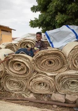 Eritrean boy sit on a stack of straw mats, Semien-Keih-Bahri, Keren, Eritrea Fotos de archivo