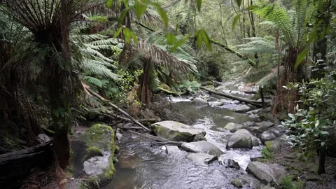 Erkin Falls River Stockbeeldmateriaal 217106350