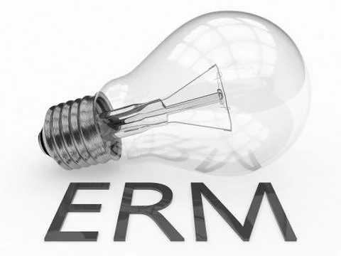ERM Concept Stock Illustration