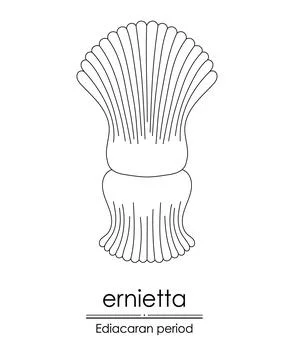 Ernietta Stock Illustration
