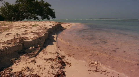 Eroded Beach  Stock Footage 716486