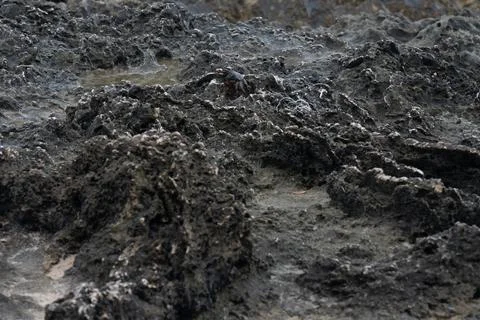 Eroded coral limestone surface on the wild Caribbean coast near Providencia Isla Stock-Fotos