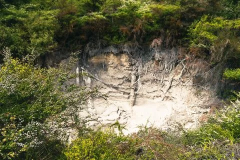 Eroded Earth Cliff Surrounded Dense Greenery Stock-Fotos
