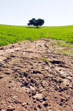 Eroded field Stock Photos